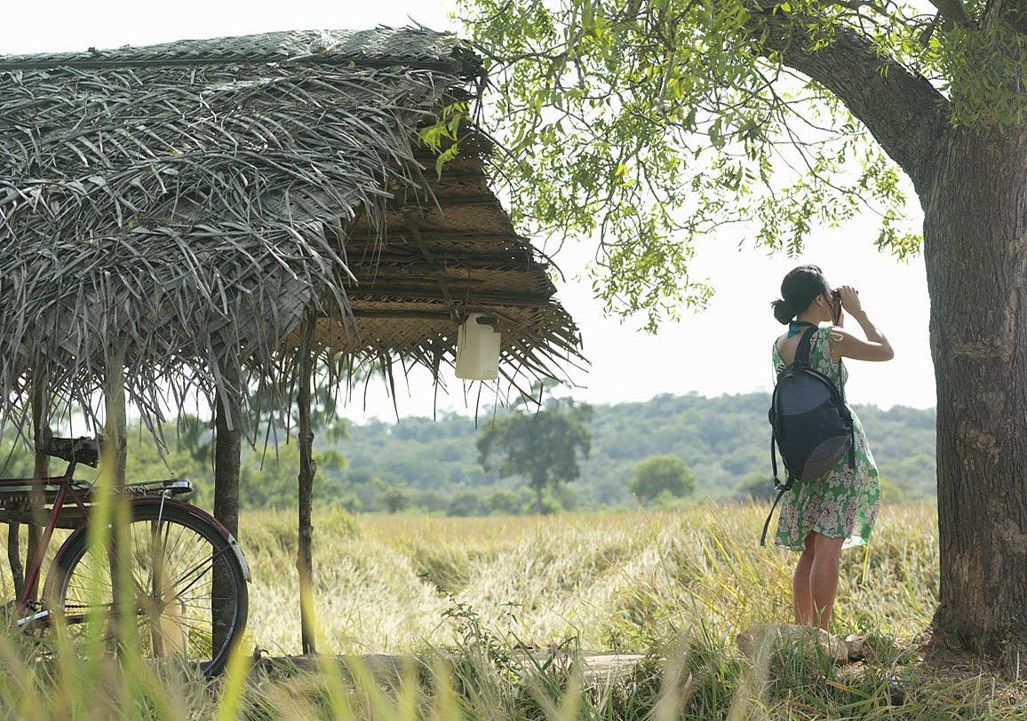 Homestay