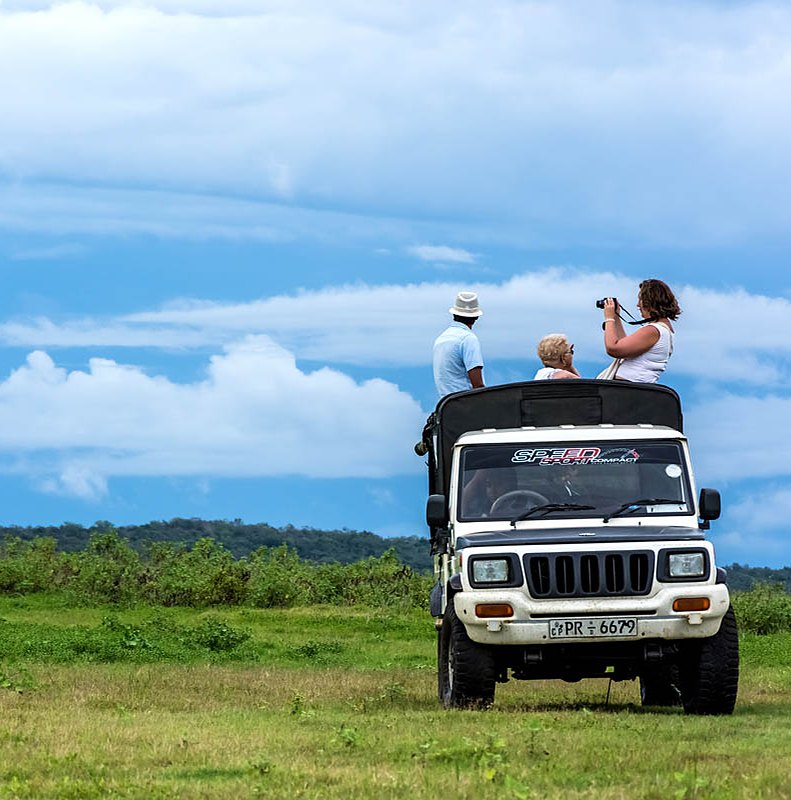Lake safari